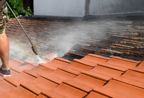 Best Local Pressure Washing Services  in Wilsonville, OR